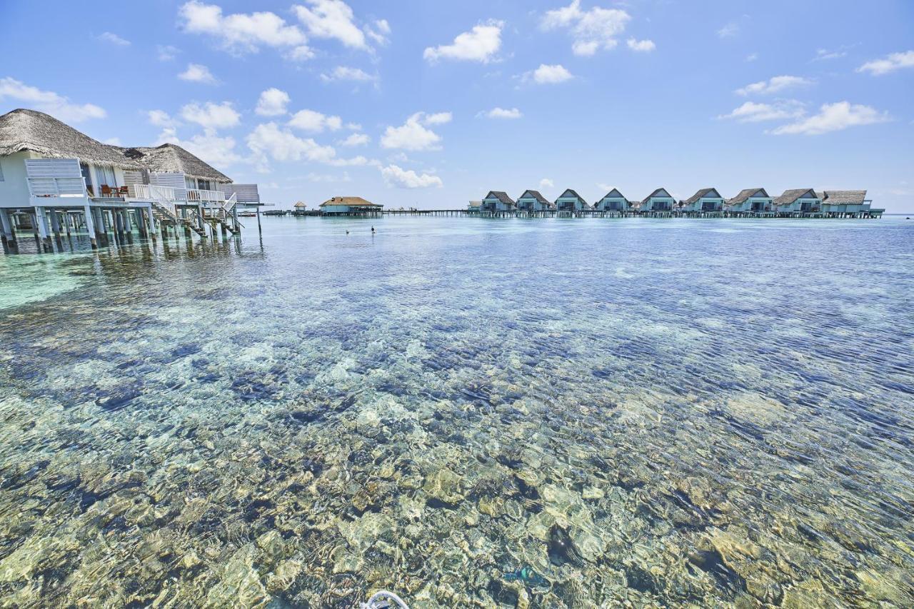 The Centara Collection, Machchafushi Island Resort & Spa Maldives - 30 Percent Discount On Transfers For Min 4 Nights Stay And More, Valid For Reservations Between 11Th Feb Till 22 Dec 2025 Esterno foto